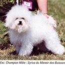 루이농장 이미지