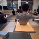오앤테니스 | 강남 헬스장 휘트니스엠 선릉점, 오앤요가 힐링요가 잼플 앱으로 운동해본 후기