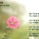 소블리 이미지