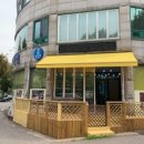 작전 캣독 동물병원 이미지
