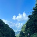 도그하우스 이미지