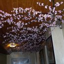 우리동네중국집 이미지