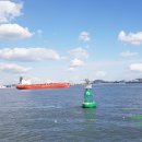 연안할머니 이미지