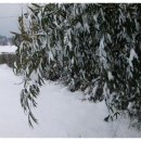 남해우리집 이미지