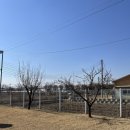 퍼피빌리티 이미지