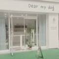 디어 마이 독(Dear my dog) 이미지