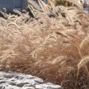 하루산책 이미지