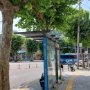 상도연세치과의원 이미지