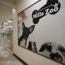 홈플러스(주)홈플러스강동점 이미지