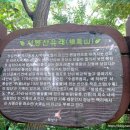 서봉산 산림욕장 2 네이버블로그