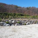 일산수목장