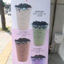 와이블랙비전점