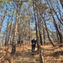 하루를봄 | 광교산 봄 산행 후기 오랜만이라 더 반가웠던 하루