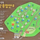 용인자연휴양림 야영장 이미지