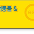 쿨한 강아지 이미지