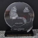 바비돌/픽시윙스캐터리 이미지