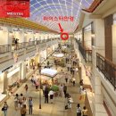 마이스터 안경 비젼케어 이미지