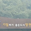 임고초교 | 영천에 가볼말한곳 ! 노지 무료 5성급 캠핑 &amp; 임고서원 찐 후기 💙