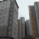 금오15길 이미지