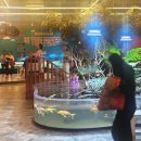 7542 | 대형키즈카페가 있는 실내동물원 쥬라리움 하남 후기