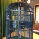[뉴질랜드/오클랜드] 나우미 에어포트 호텔 후기(Naumi Airport Hotel Auckland)