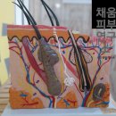 다은피부관리실