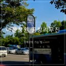 주식회사 세인 | [창원 마산 공항리무진 시간표] 대중교통으로 창원에서 김해공항 가기