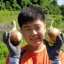 햇살 염소농장 이미지