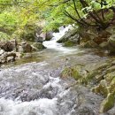 구곡주유소 이미지