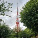 메이저타워(메이저빌딩) | Tokyo, Japan 05.26-05.29