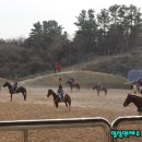 더마파크 공연장 이미지