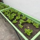 한양샛별유치원 이미지