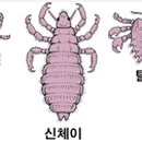 이옷니옷