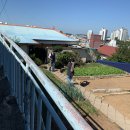 금광이용원 이미지