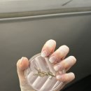 다정네 | 볼라르 스튜디오 촬영후기(w/ 김청경헤어페이스 다정, 연정)