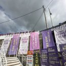 양산 라벤더 축제 후기｜느티나무의사랑 카페 피크닉 세트 예약하고 다녀온 솔직후기