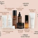 인셀덤 - 부평구 주부토로 231 | 인셀덤