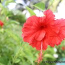 호텔뷰(VIEW) 이미지