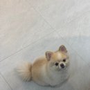 휘경46 | [안양 의왕 신점 추천] 내돈내산 n년째 다니고있는 용한 점집 추천 &#34;휘경궁&#34; 후기