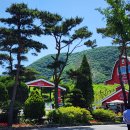 신호목장 이미지