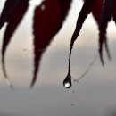 동의보감자동차 이미지