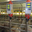 종환목장 이미지