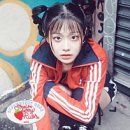 2504 이미지