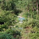 공작산 휴양림 펜션 이미지