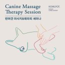 하울팟 부산케어센터 이미지