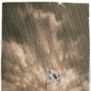 [박성희의 커피하우스] 국민은 국회를 탄핵하고 싶다 이미지