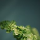 모노컬러(monocolor) 이미지