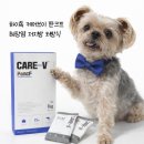 브이독(V-dog) | [하이독 케어브이 판크프] 노견에게 추천하는 췌장 습식사료 (+특가링크 포함)