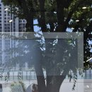 수정노래연습장 이미지