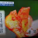 당뇨맞춤 총각김치/기치유센터 이미지